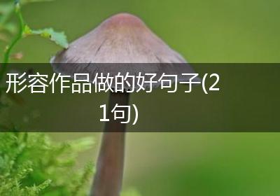 形容作品做的好句子(21句)