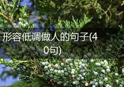 形容低调做人的句子(40句)