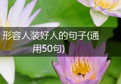 形容人装好人的句子(通用50句)