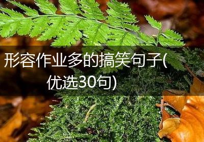 形容作业多的搞笑句子(优选30句)