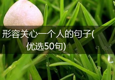 形容关心一个人的句子(优选50句)