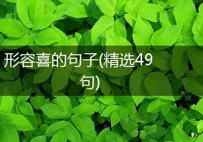 形容喜的句子(精选49句)