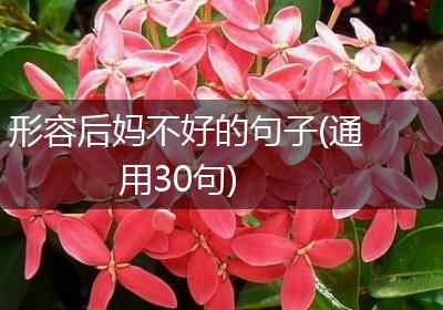 形容后妈不好的句子(通用30句)
