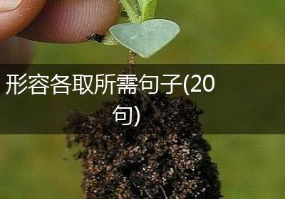 形容各取所需句子(20句)