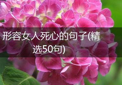 形容女人死心的句子(精选50句)