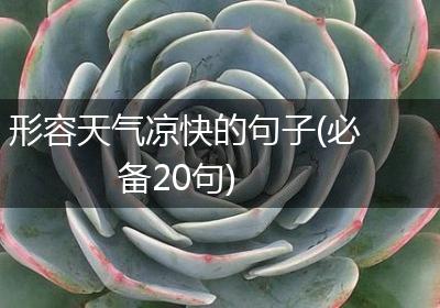 形容天气凉快的句子(必备20句)