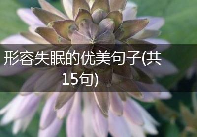 形容失眠的优美句子(共15句)