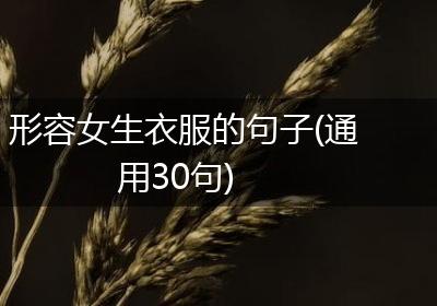 形容女生衣服的句子(通用30句)