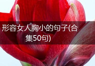 形容女人胸小的句子(合集50句)