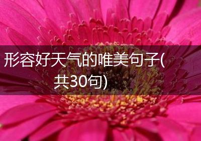形容好天气的唯美句子(共30句)