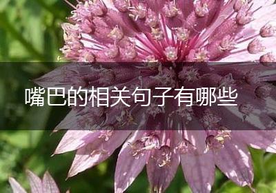 嘴巴的相关句子有哪些