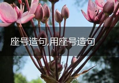 座号造句,用座号造句
