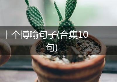 十个博喻句子(合集10句)