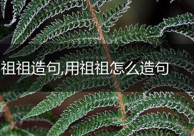 祖祖造句,用祖祖怎么造句