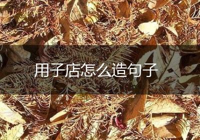 用子店怎么造句子