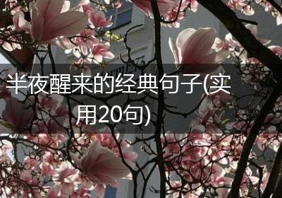 半夜醒来的经典句子(实用20句)