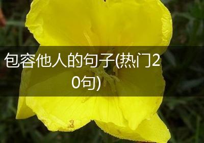 包容他人的句子(热门20句)