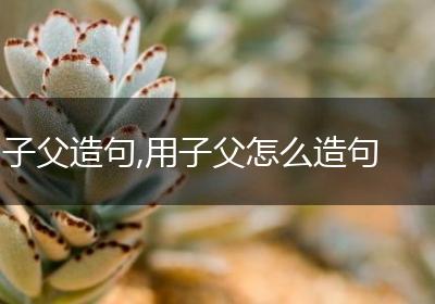 子父造句,用子父怎么造句