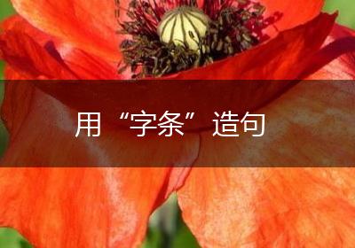 用“字条”造句