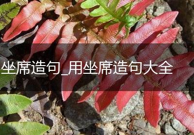 坐席造句_用坐席造句大全