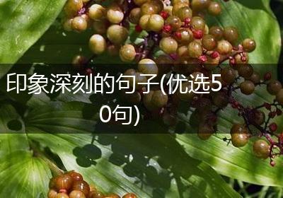 印象深刻的句子(优选50句)