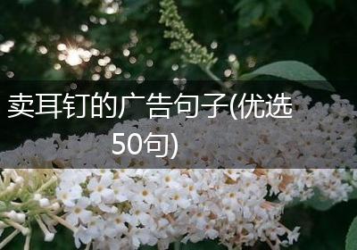 卖耳钉的广告句子(优选50句)