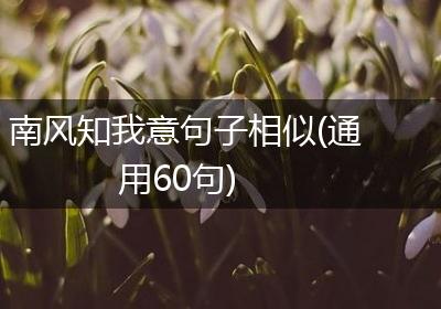 南风知我意句子相似(通用60句)
