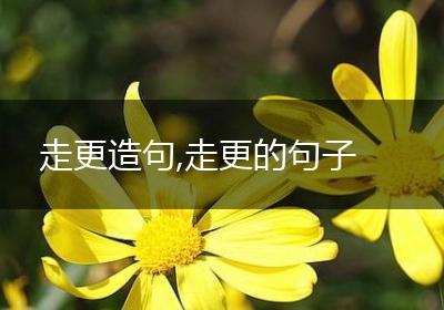 走更造句,走更的句子