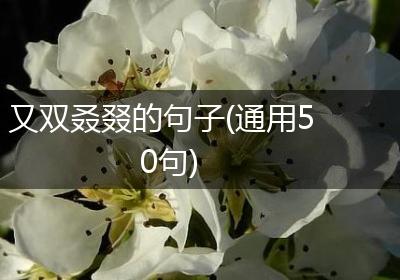 又双叒叕的句子(通用50句)