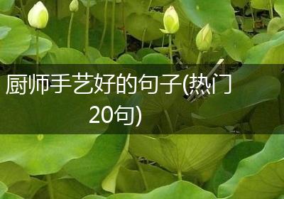 厨师手艺好的句子(热门20句)