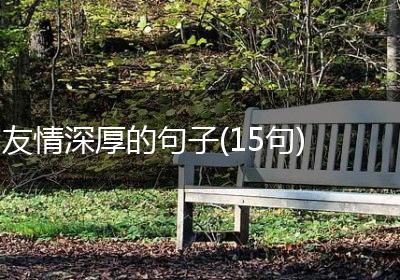 友情深厚的句子(15句)