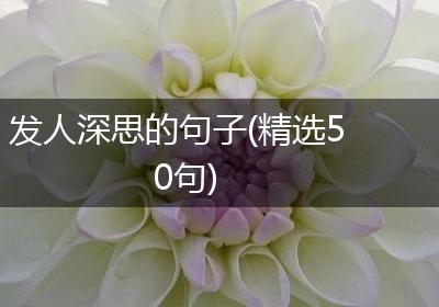 发人深思的句子(精选50句)