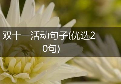 双十一活动句子(优选20句)