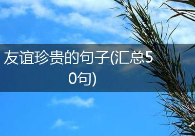 友谊珍贵的句子(汇总50句)