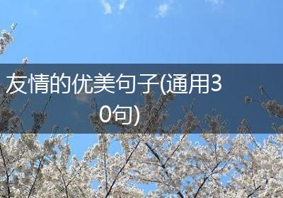 友情的优美句子(通用30句)