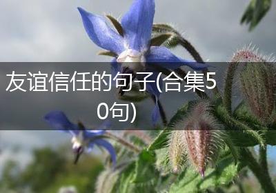 友谊信任的句子(合集50句)