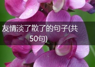 友情淡了散了的句子(共50句)
