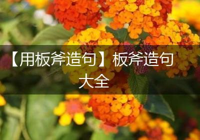 【用板斧造句】板斧造句大全