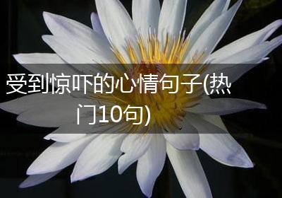 受到惊吓的心情句子(热门10句)