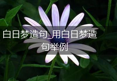 白日梦造句_用白日梦造句举例