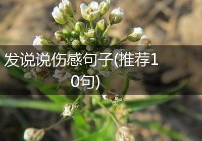 发说说伤感句子(推荐10句)