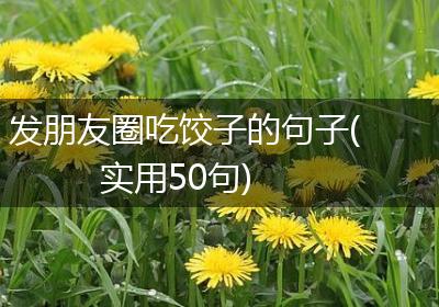 发朋友圈吃饺子的句子(实用50句)