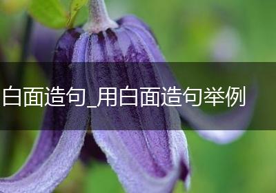 白面造句_用白面造句举例