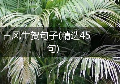 古风生贺句子(精选45句)