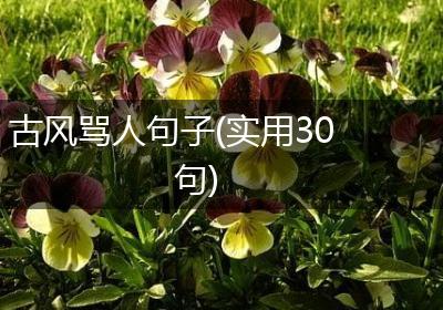 古风骂人句子(实用30句)