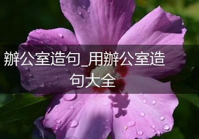 辦公室造句_用辦公室造句大全