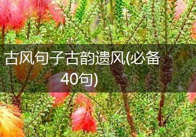 古风句子古韵遗风(必备40句)
