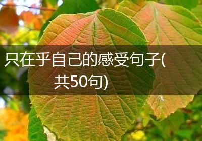 只在乎自己的感受句子(共50句)