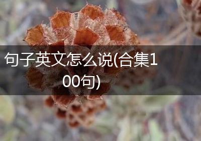 句子英文怎么说(合集100句)