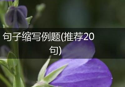 句子缩写例题(推荐20句)